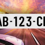 Plaque Immatriculation PET