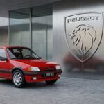 Plaque immatriculation PEUGEOT