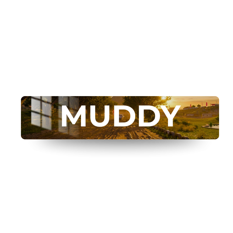 Plaque Personnalisée GAMING FORZA MUDDY